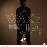 Wake Me Up - Avicii