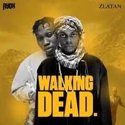 Walking Dead ft. Zlatan - Ayox