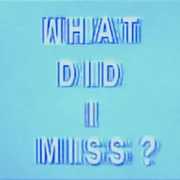 What Did I Miss? - Drake