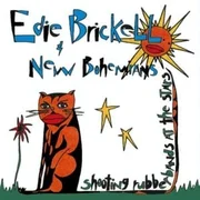 What I Am - Edie Brickell