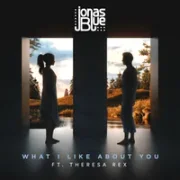 What I like About You - Jonas Blue