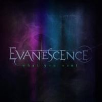 What you want - Evanescence