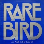 What You Want To Know - Rare Bird