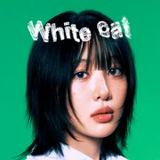 White cat - Yves