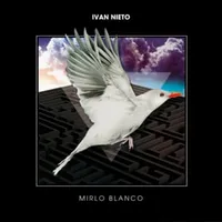 White mirlo - Ivan Nieto