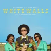 White Walls - Macklemore & Ryan Lewis