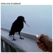 White Wine & Adderall - The Chainsmokers
