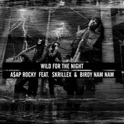 Wild for the Night ft. Birdy Nam Nam & Skrillex - A$ap Rocky