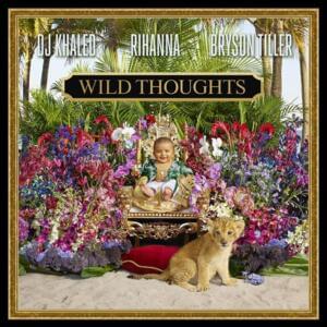 Wild Thoughts - Rihanna