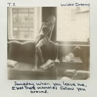 Wildest Dreams - Taylor Swift