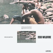 1999 WILDFIRE - Valkyrie (nz)