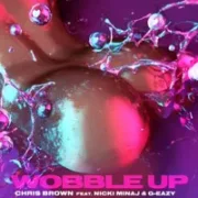 Wobble Up - Chris Brown