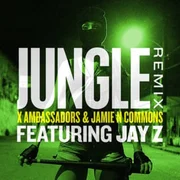 Jungle (Remix) ft. Jamie N Commons & JAY-Z - Calogero