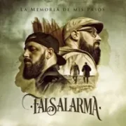 Ya Será Tarde - Falsalarma