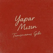 YAPAR MISIN? - Poizi