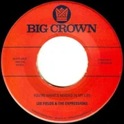 You’re What’s Needed In My Life - Lee Fields