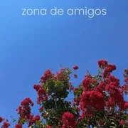 Zona De Amigos - La Arrolladora Banda El Limon